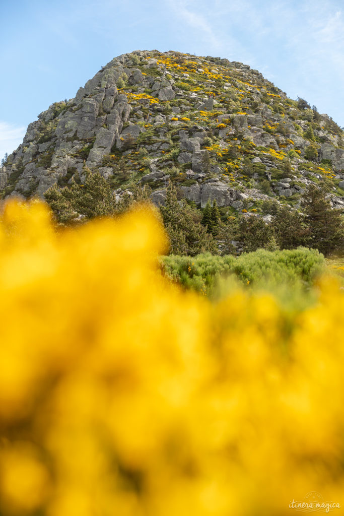 mont gerbier de jonc