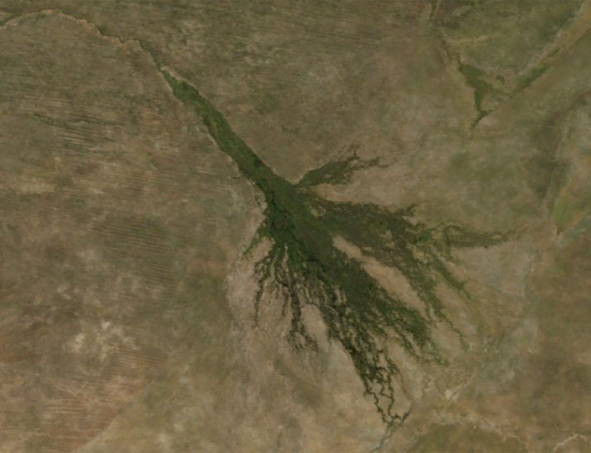 Le delta vu par les satellites de la NASA. Source: Wikipedia Commons.