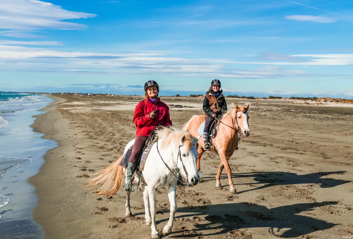 où faire du cheval en camargue