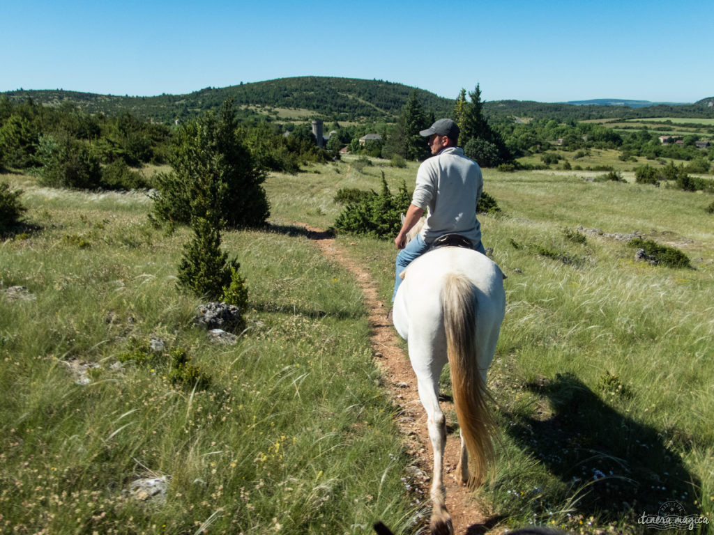 Que faire et que voir dans le sud de l’Aveyron ? Itinéraires, activités, points de vue, incontournables autour de Millau, Roquefort, sur le Larzac.