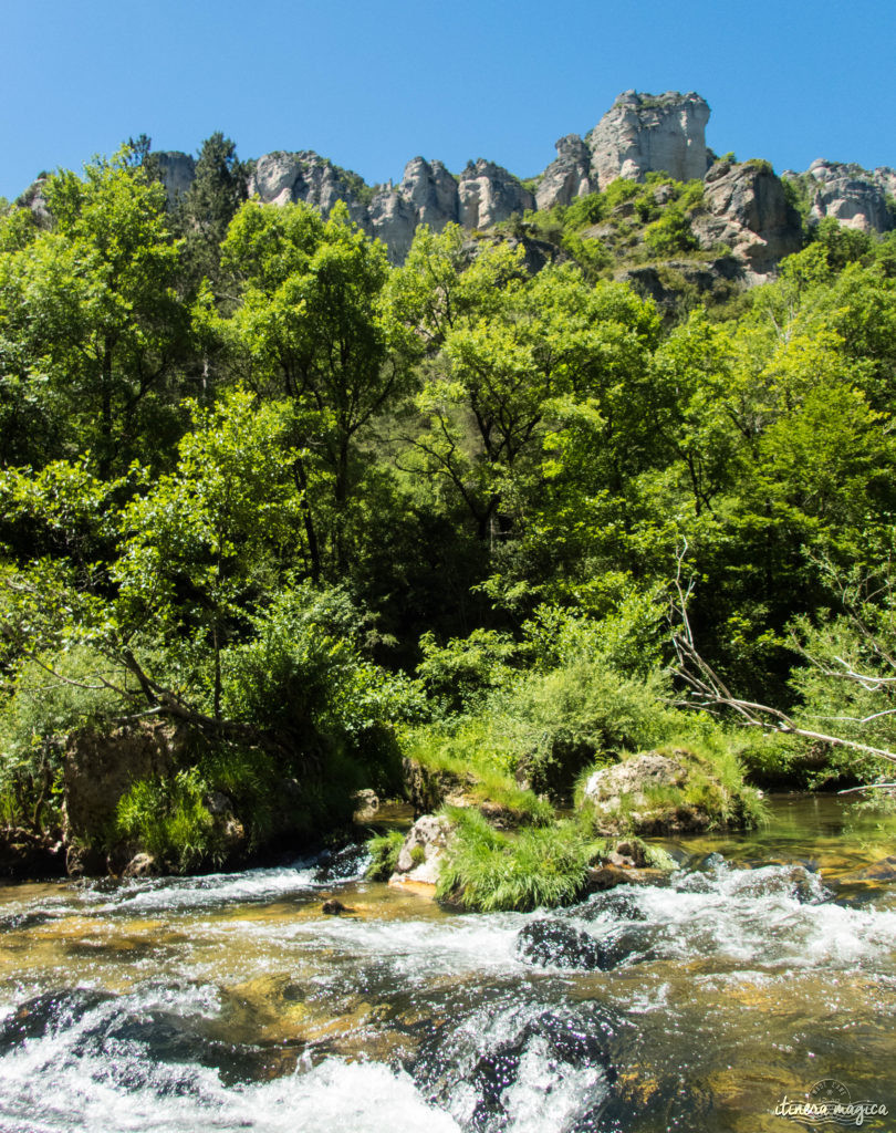 Que faire et que voir dans le sud de l’Aveyron ? Itinéraires, activités, points de vue, incontournables autour de Millau, Roquefort, sur le Larzac.