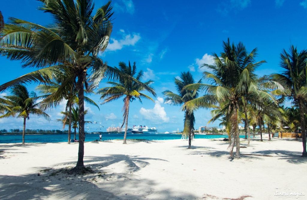 Pourquoi et comment aller aux Bahamas ? Quelle île choisir ? Guide du pays de Pirate des Caraïbes