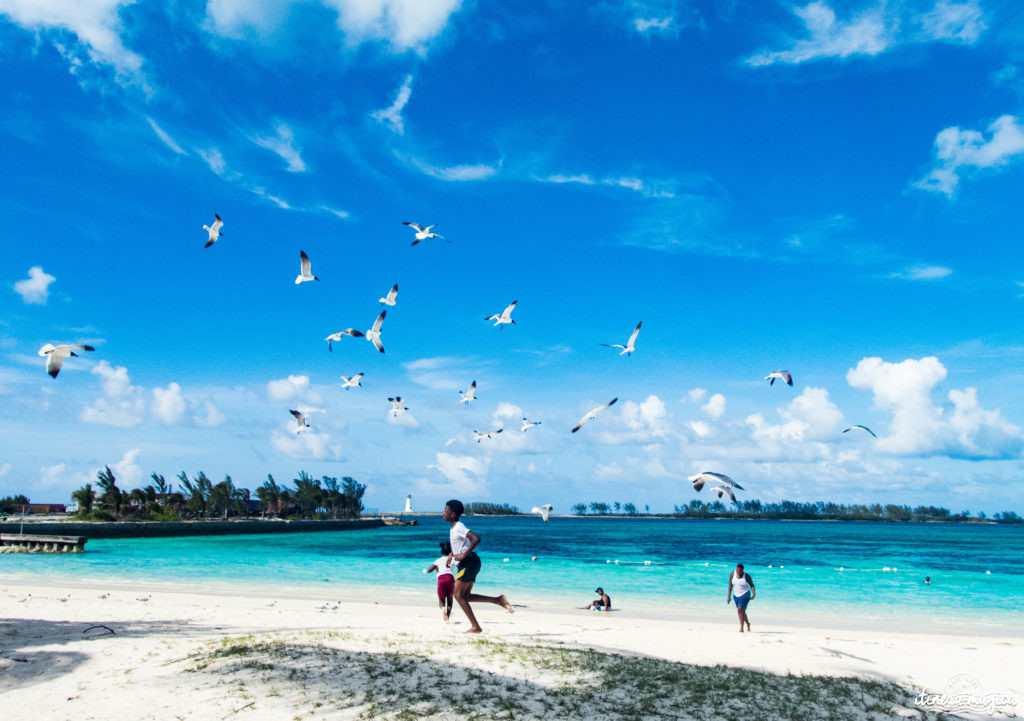 Pourquoi et comment aller aux Bahamas ? Quelle île choisir ? Guide du pays de Pirate des Caraïbes