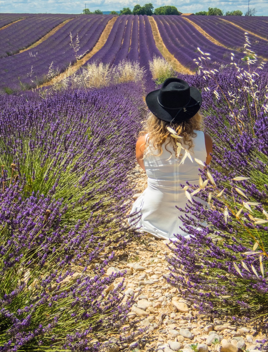 Road trip en Haute Provence : lavandes de la Drôme et des Baronnies, Sisteron, Serre-Ponçon. Blog de Provence