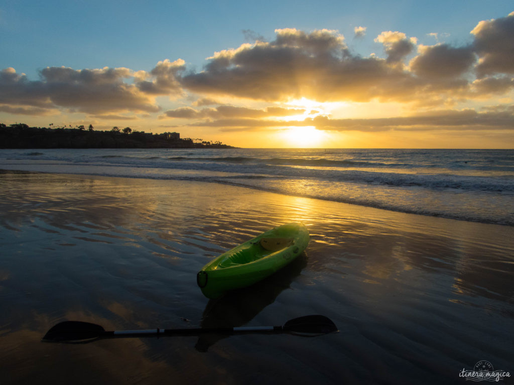 Voyage à San Diego : ne manquez pas La Jolla ! Jouer avec les otaries en toute liberté, faire du kayak au milieu des phoques… une destination californienne nature !