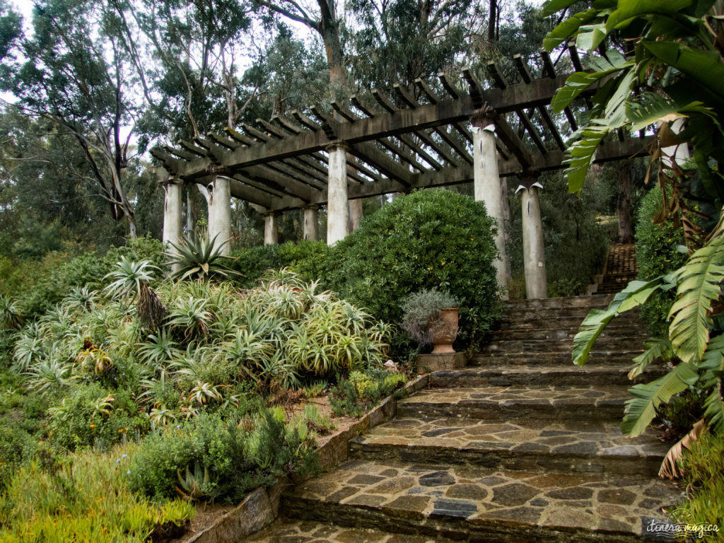 domaine du rayol jardin des méditerranées