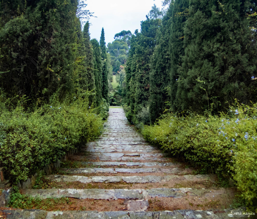 domaine du rayol jardin des méditerranées