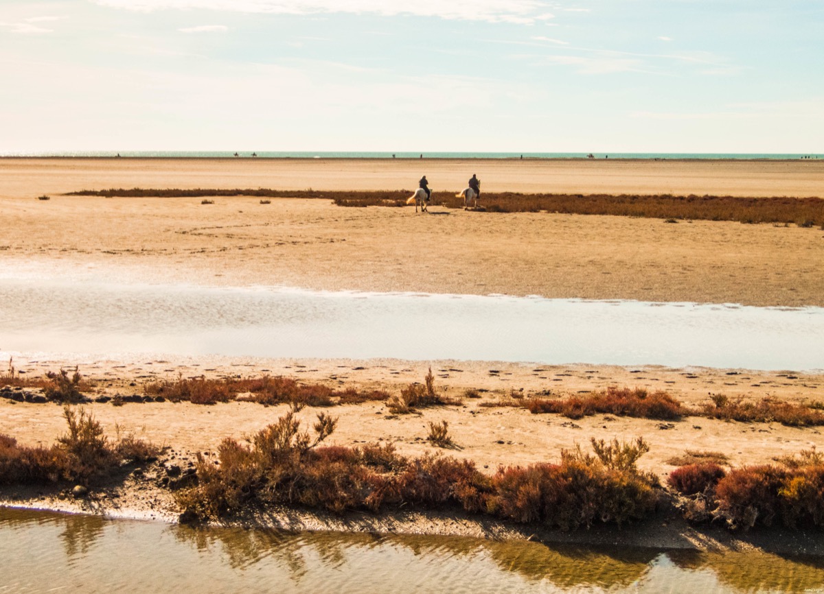 belle plage sauvage camargue