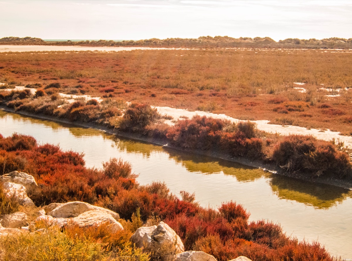 Où voir les flamants roses en Camargue ? Les plus beaux couchers de soleil ? Que voir en Camargue ? Blog photo #Camargue