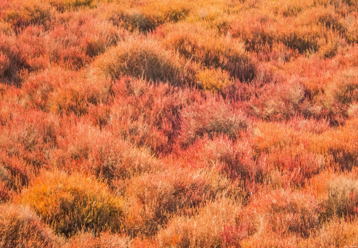 Où voir les flamants roses en Camargue ? Les plus beaux couchers de soleil ? Que voir en Camargue ? Blog photo #Camargue