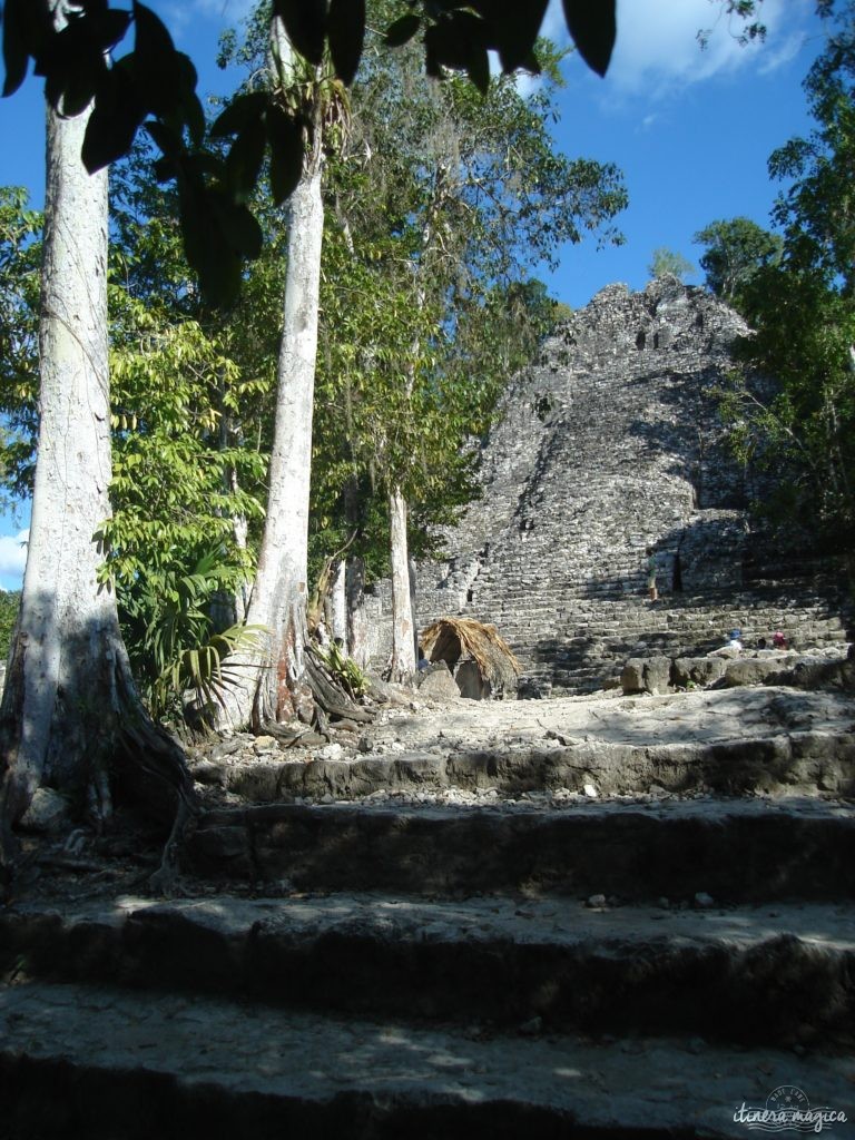 Ville maya en ruines dans le Yucatan.