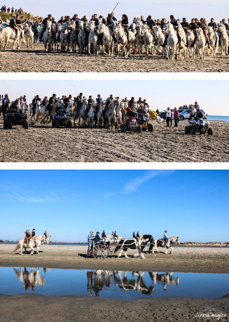 Que faire en Camargue ? Balades à cheval, bonnes adresses, incontournables, retrouvez tout sur le Camargue.