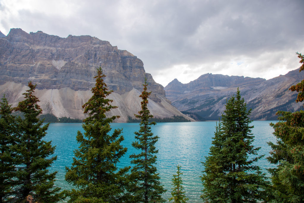 Conduire sur la Icefields Parkway, LA route mythique au coeur des Rocheuses canadiennes