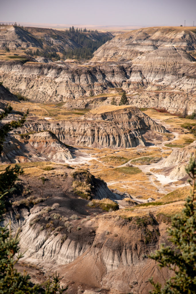 badlands drumheller alberta canada