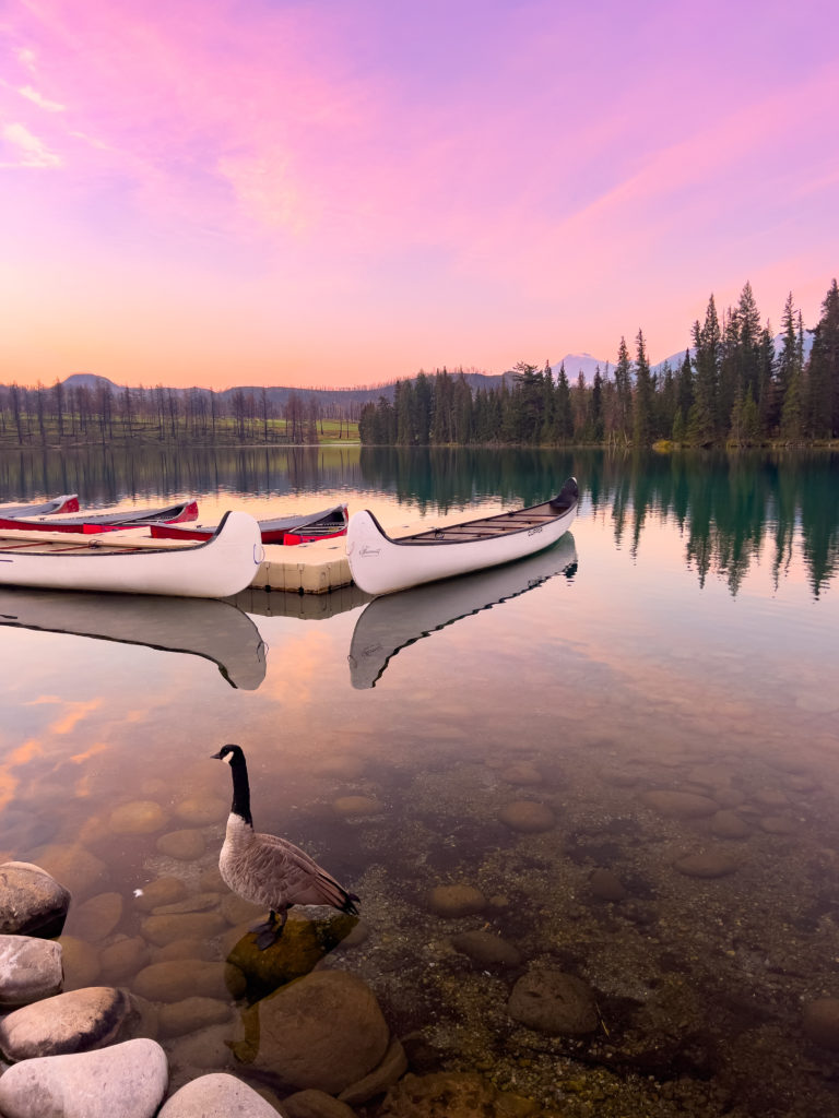 Visiter Jasper en Alberta dans les rocheuses