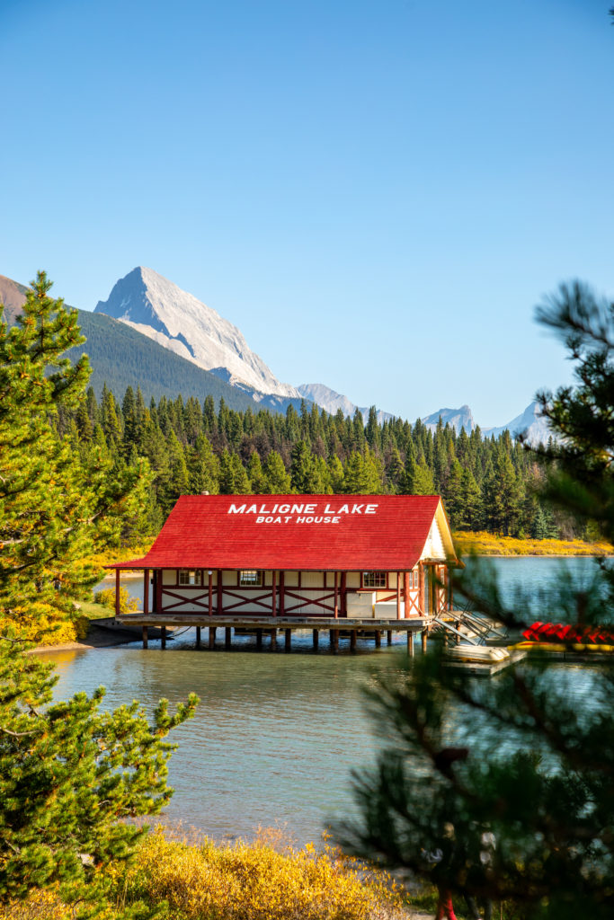 Visiter Jasper en Alberta dans les rocheuses