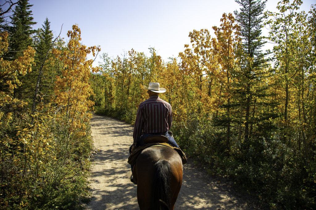 culture western et cow boy country : aventures à cheval en alberta 