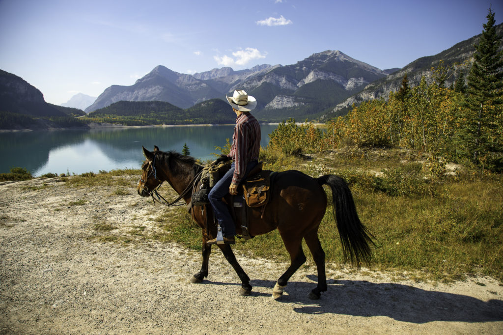 culture western et cow boy country : aventures à cheval en alberta 