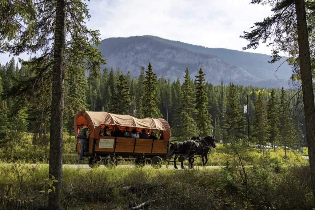 culture western et cow boy country : aventures à cheval en alberta 