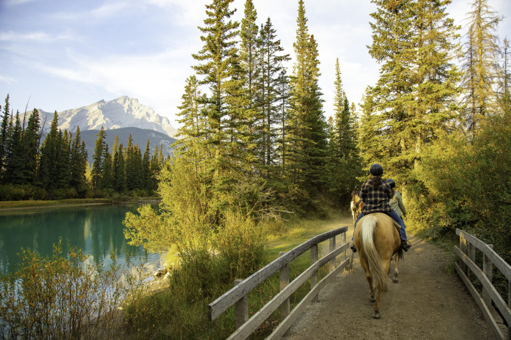 culture western et cow boy country : aventures à cheval en alberta 