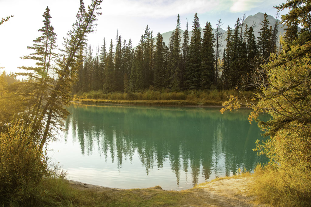 culture western et cow boy country : aventures à cheval en alberta 