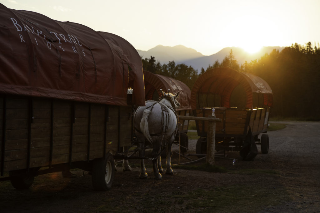 culture western et cow boy country : aventures à cheval en alberta 