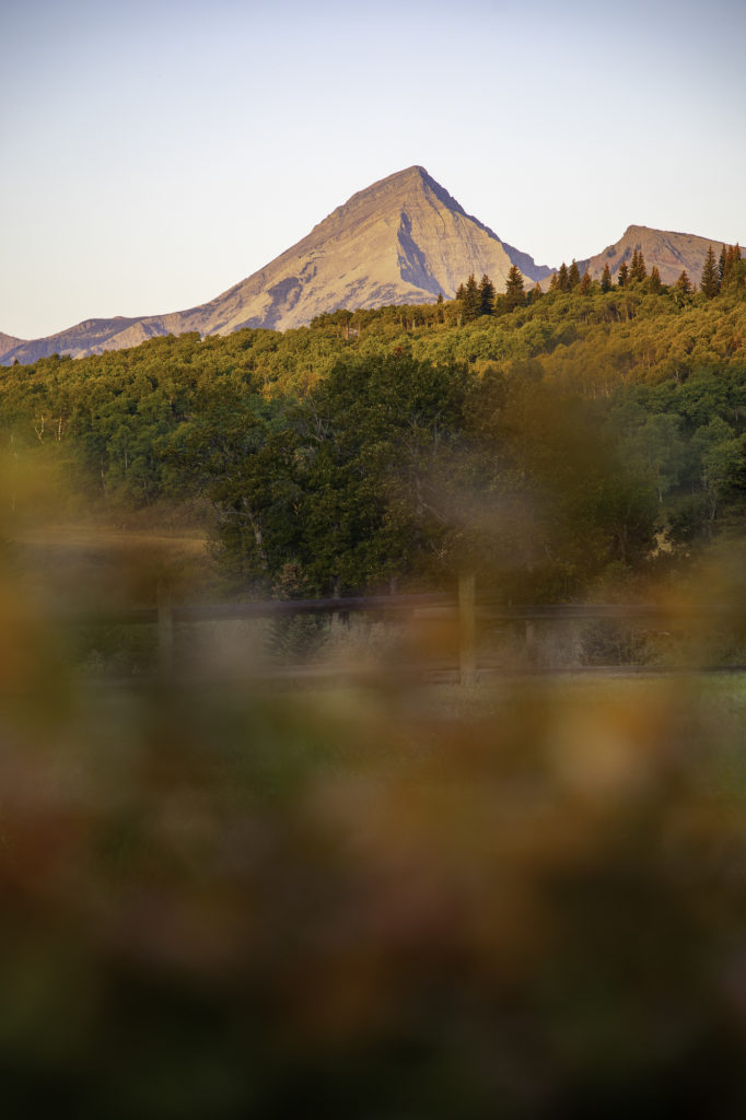 culture western et cow boy country : aventures à cheval en alberta 