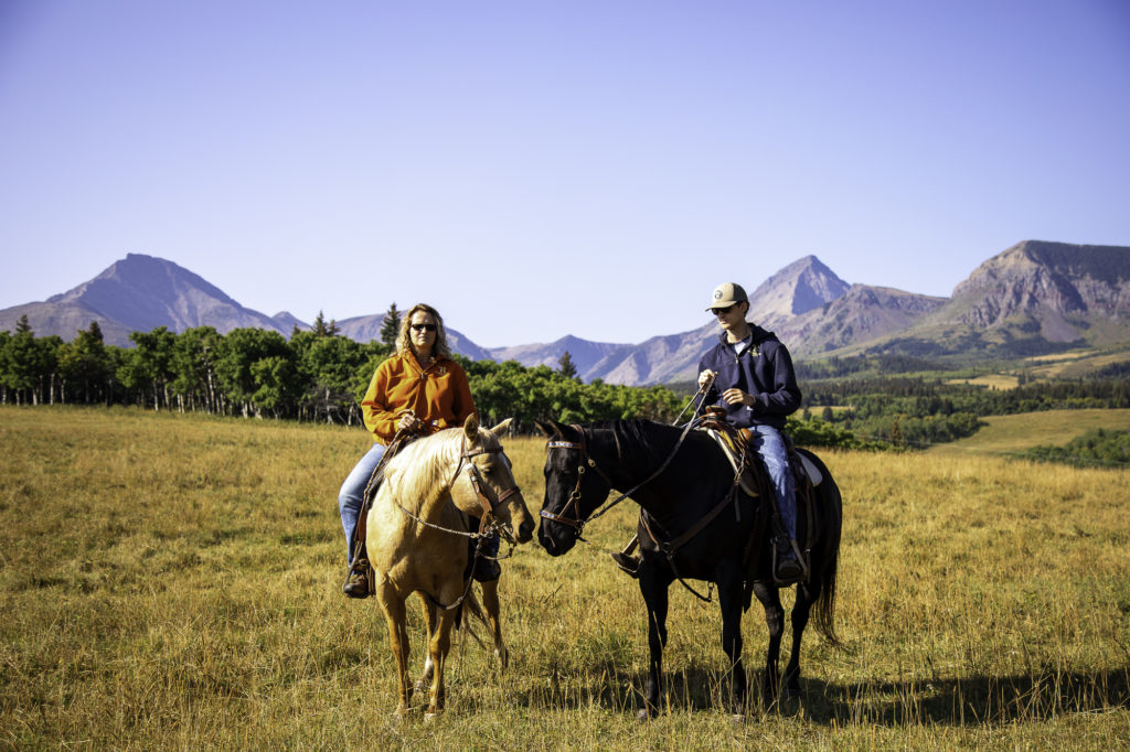 culture western et cow boy country : aventures à cheval en alberta 