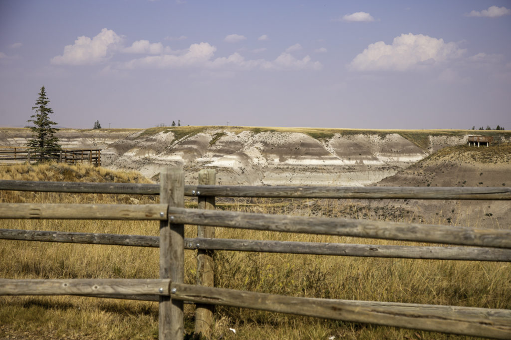 badlands de drumheller et dinosaures en alberta canada