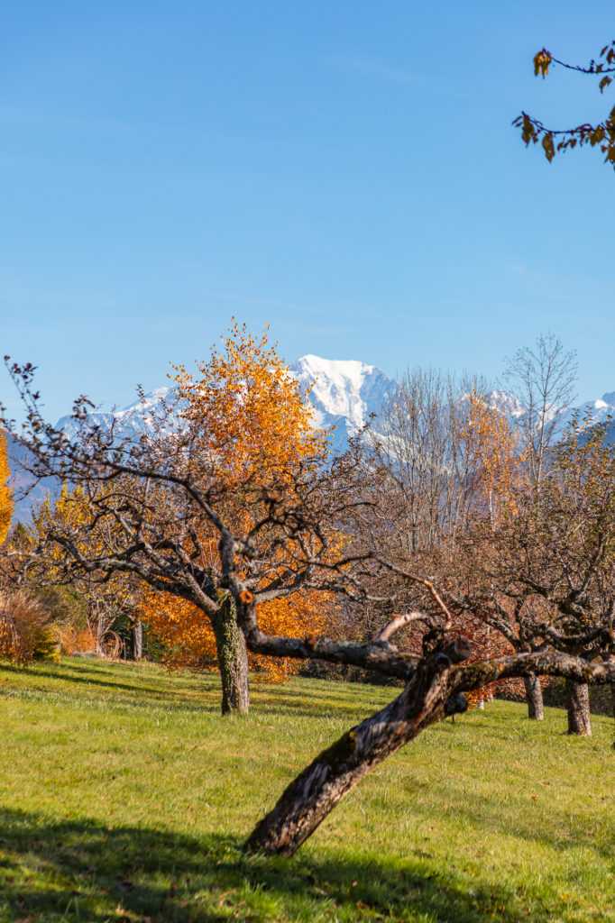 Blog sur Albertville. Bonnes adresses à Albertville