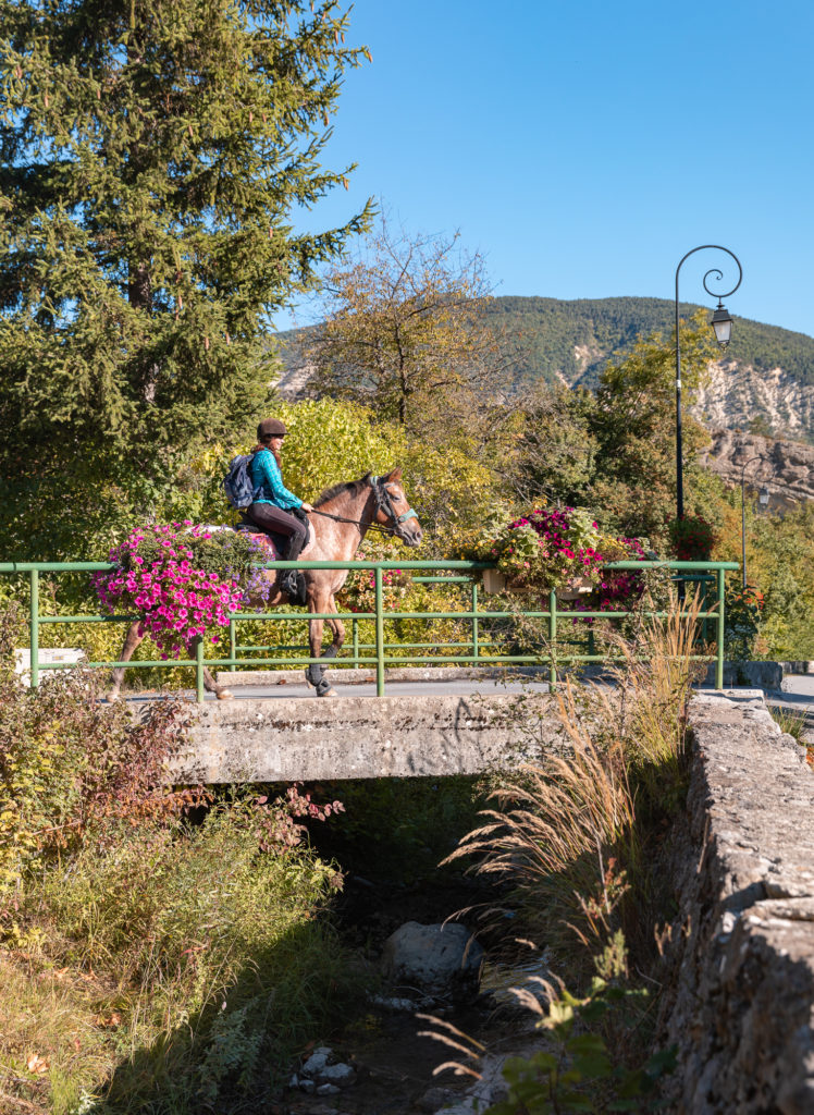 randonnée équestre alpes de haute provence