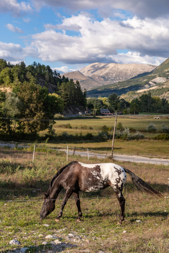 Les Alpes de Haute Provence à cheval : 3 jours de randonnée équestre dans la région de Digne-les-Bains, au coeur des Alpes du Sud