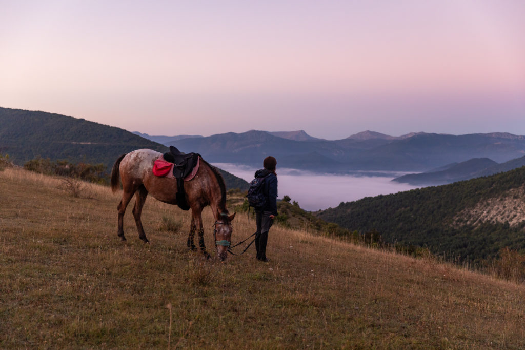 Les Alpes de Haute Provence à cheval : 3 jours de randonnée équestre dans la région de Digne-les-Bains, au coeur des Alpes du Sud