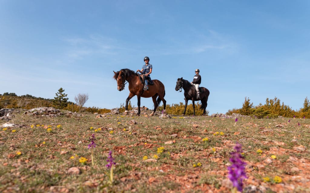 tourisme équestre aveyron a cheval larzac cheval