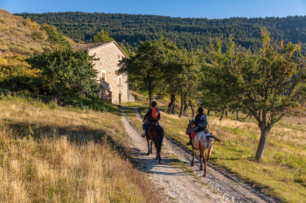 Les Alpes de Haute Provence à cheval : 3 jours de randonnée équestre dans la région de Digne-les-Bains, au coeur des Alpes du Sud