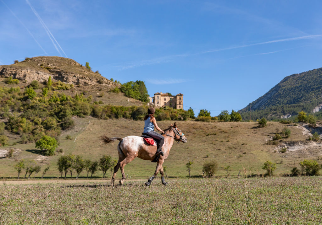 Les Alpes de Haute Provence à cheval : trois jours de randonnée équestre dans les Alpes du sud, dans la région de Digne les Bains