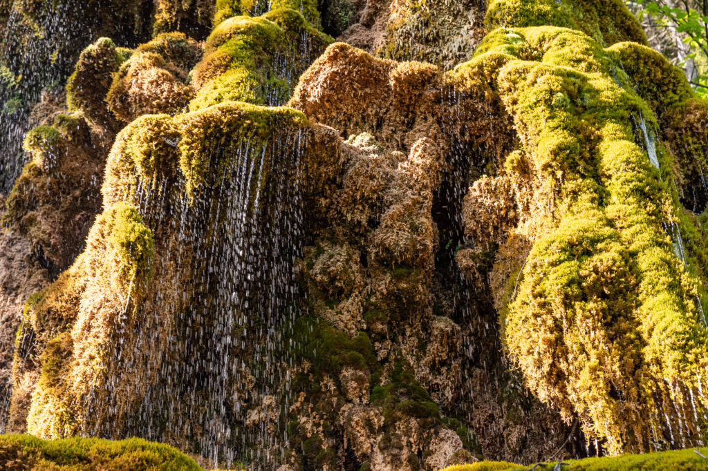 Visiter Digne les Bains et ses environs dans les Alpes de Haute Provence. Blog sur Digne les Bains. Le musée promenade et la fontaine pétrifiante