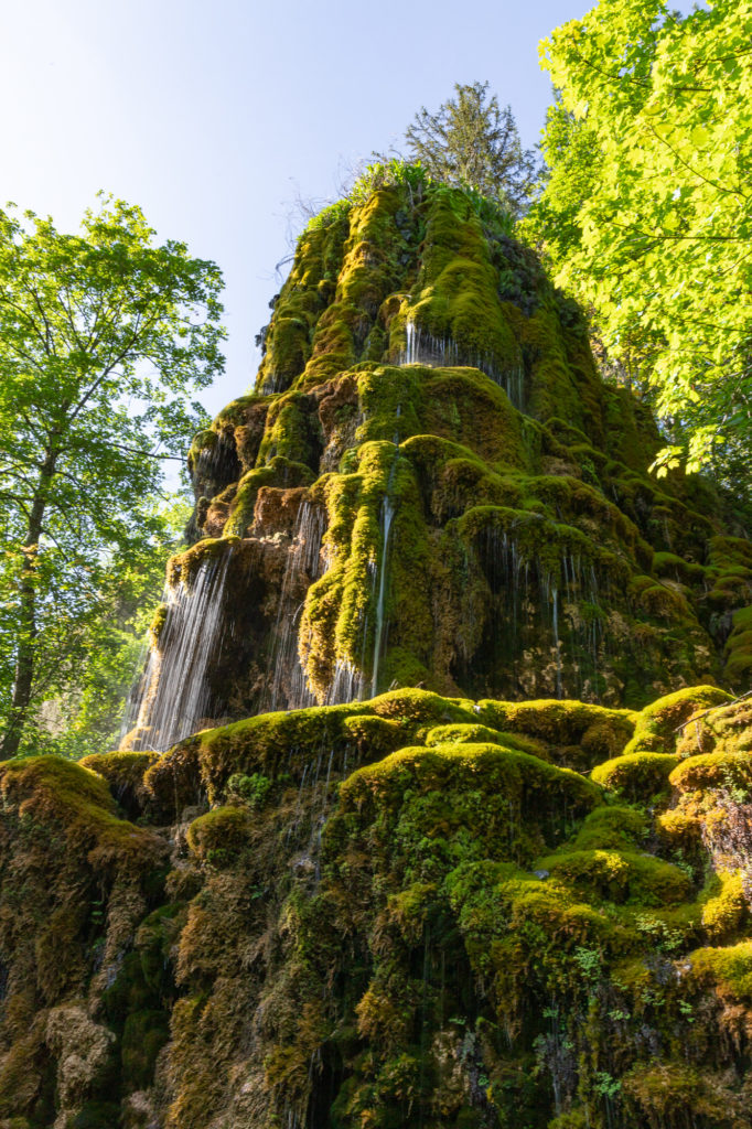 Visiter Digne les Bains et ses environs dans les Alpes de Haute Provence. Blog sur Digne les Bains. Le musée promenade et la fontaine pétrifiante