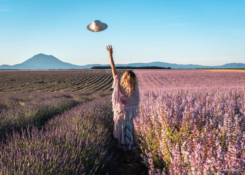Douceur de haute Provence : Gréoux, Valensole, Esparron