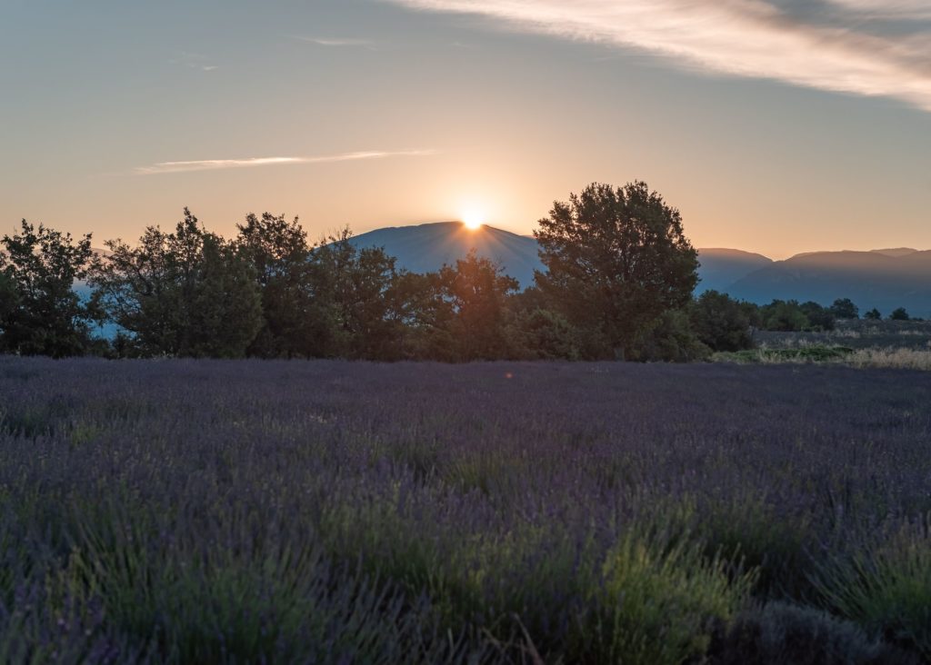 haute provence verdon lavandes de valensole