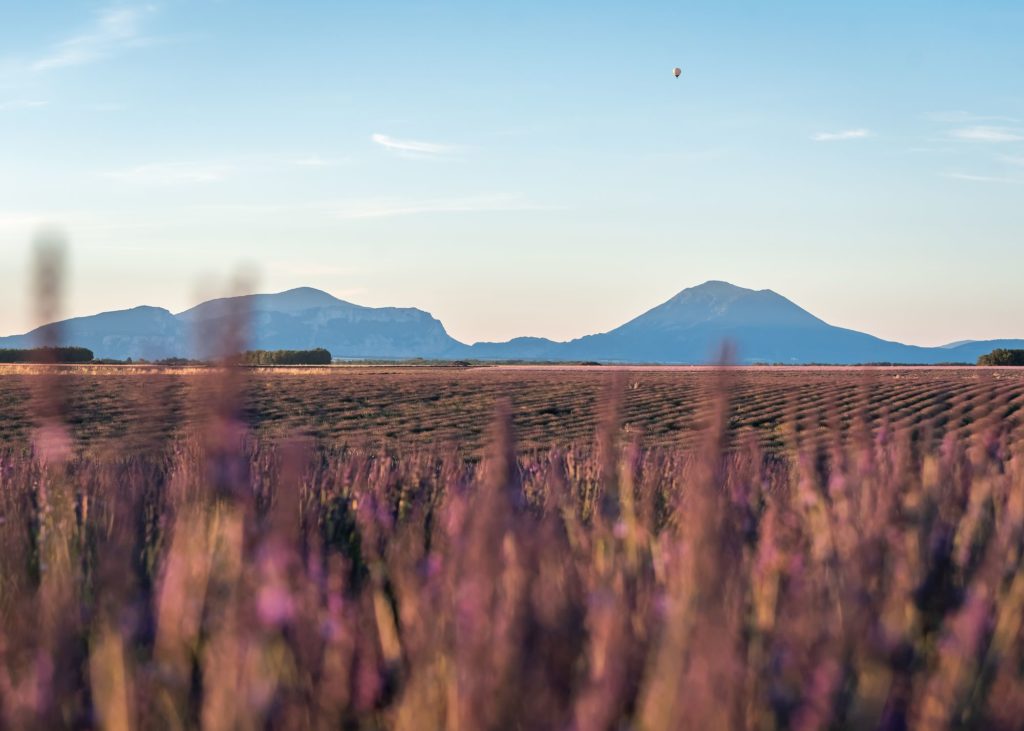 haute provence verdon lavandes de valensole