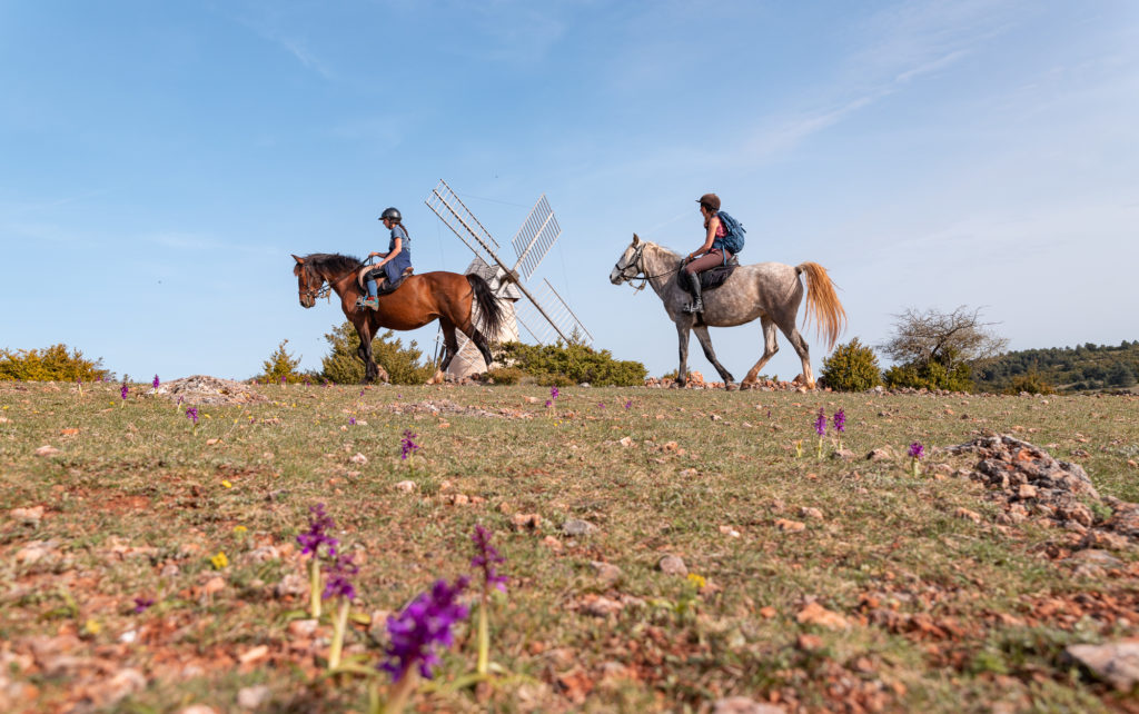 tourisme équestre aveyron a cheval larzac cheval