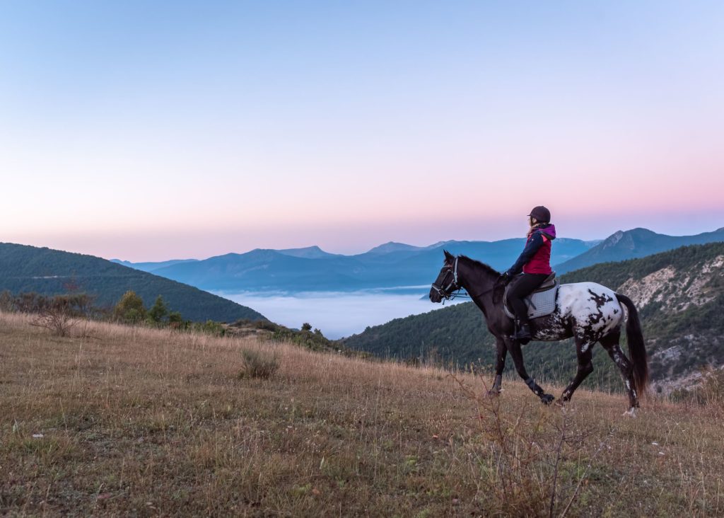 Les Alpes de Haute Provence à cheval : trois jours de randonnée équestre dans les Alpes du sud, dans la région de Digne les Bains