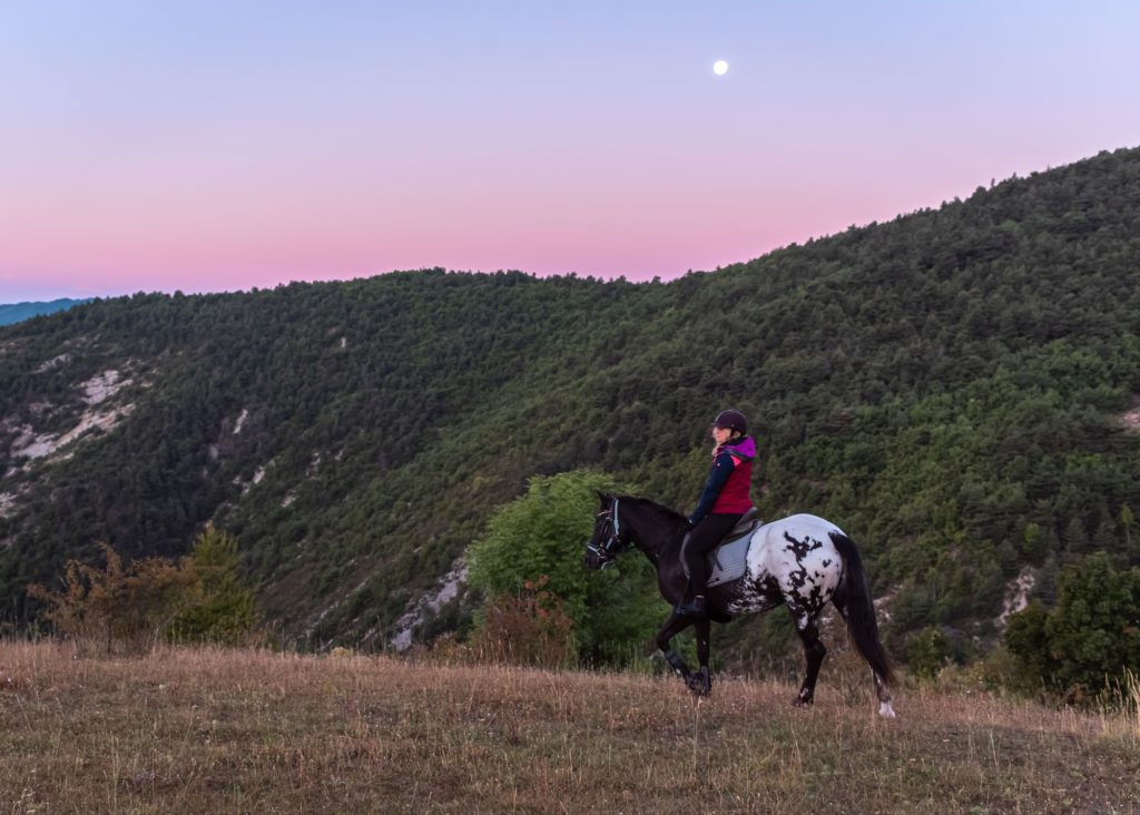 Les Alpes de Haute Provence à cheval : 3 jours de randonnée équestre dans la région de Digne-les-Bains, au coeur des Alpes du Sud