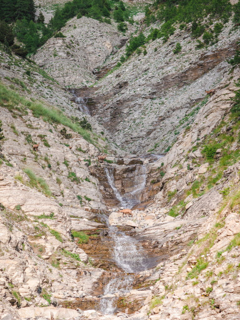 Randonnée à Colmars les Alpes dans le Haut Verdon : autour du refuge de Congerman