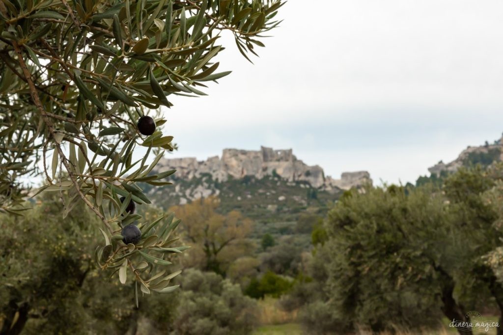 plus beaux sites naturels de provence