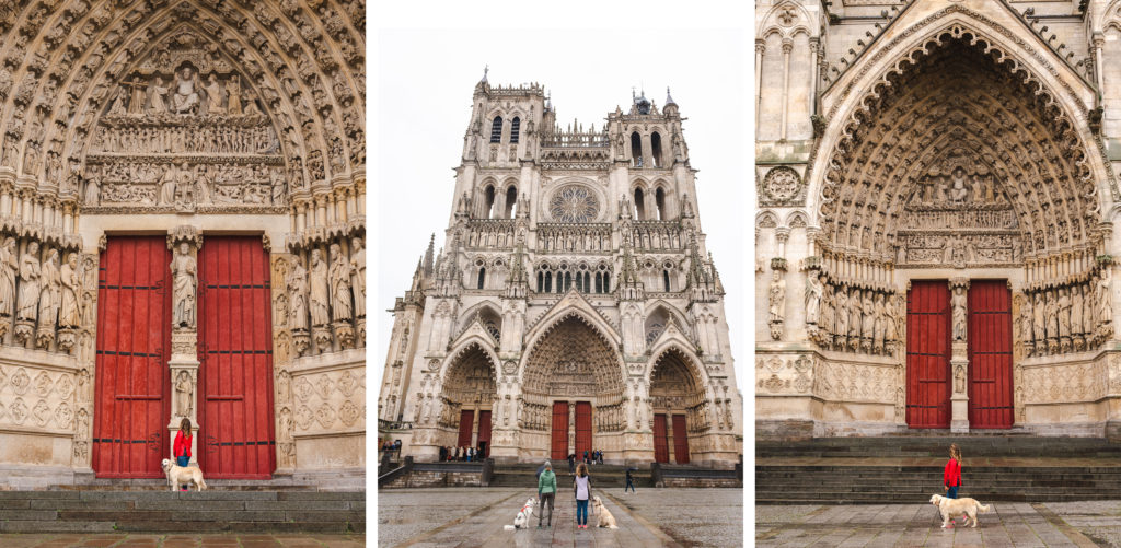 visiter amiens dans la somme avec son chien 