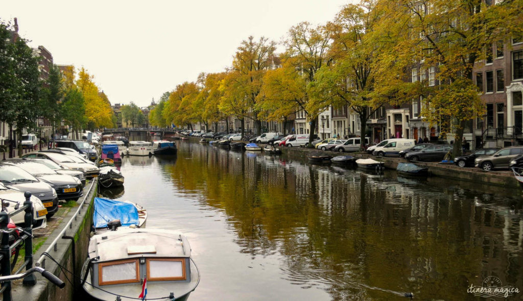 Où voir les couleurs d'automne, en Europe, au Japon, au Québec et ailleurs ? Les plus belles couleurs de l'automne par les blogueurs de voyage, pour des voyages chatoyants. #automne 