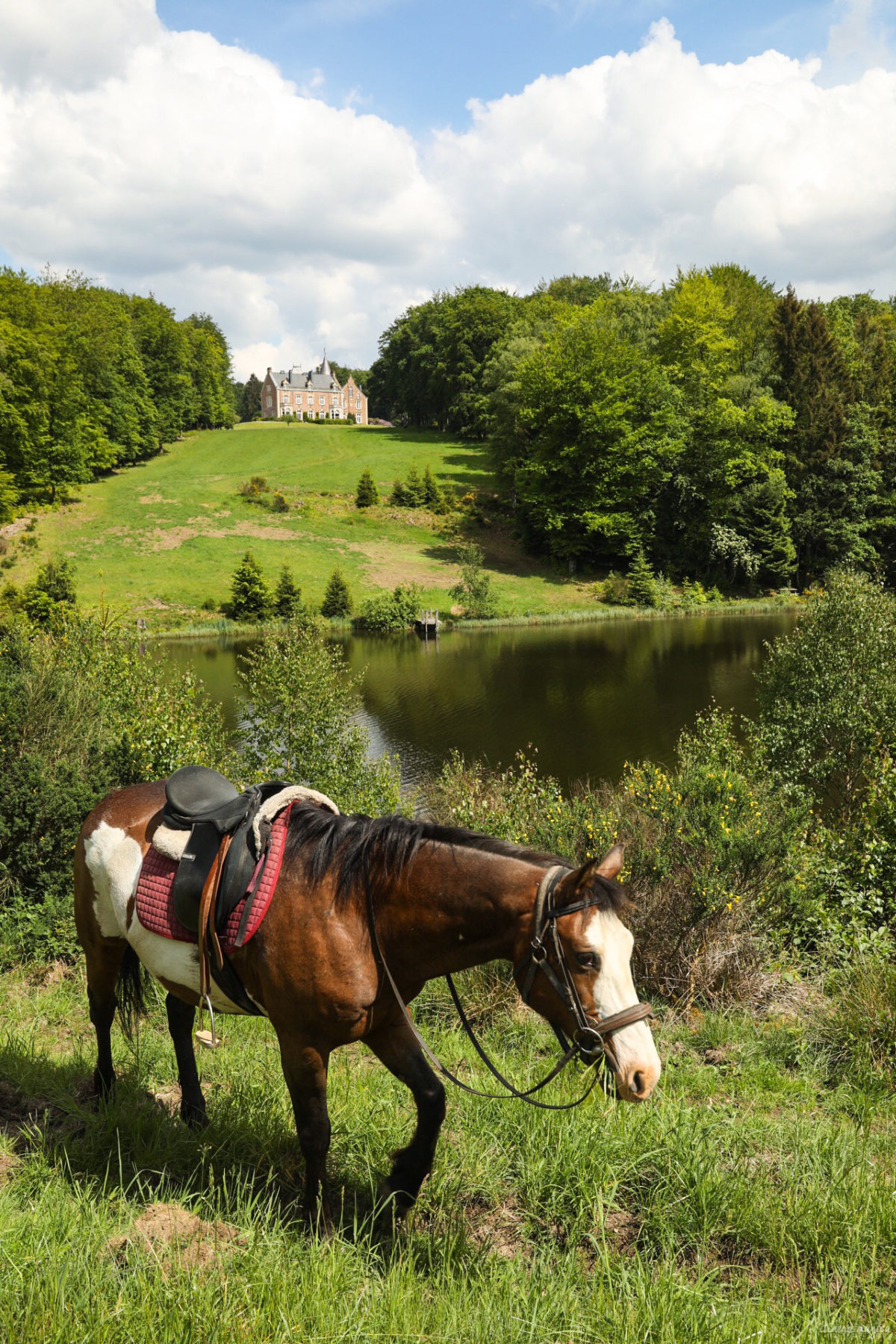 Une randonnée équestre au coeur de la grande forêt de St Hubert ? Partez à cheval en itinérance dans les bois de l'Ardenne.