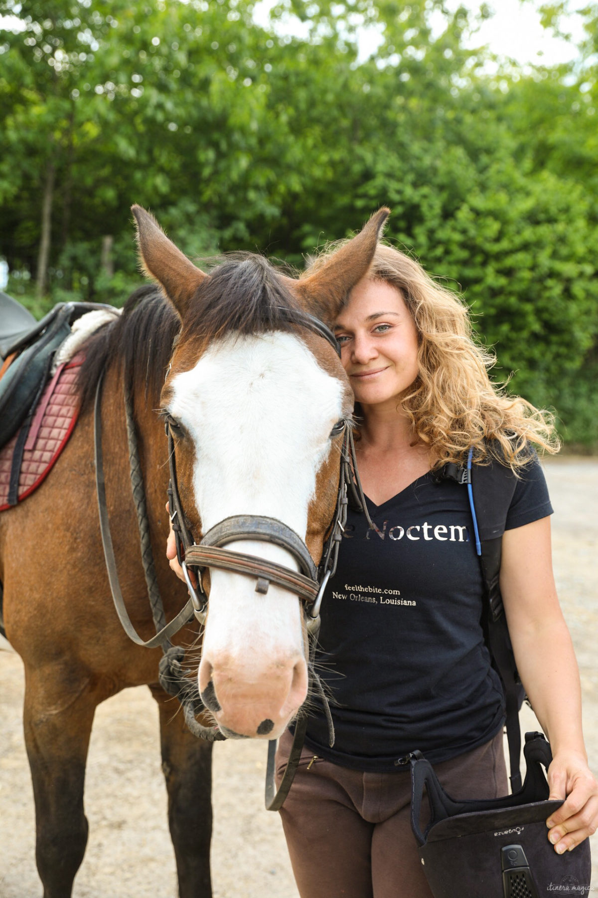 Une randonnée équestre au coeur de la grande forêt de St Hubert ? Partez à cheval en itinérance dans les bois de l'Ardenne.